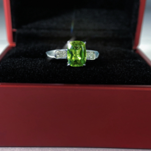 singleprod-image-1609